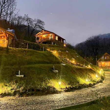 Chalets Du Bf Sighișoara Zewnętrze zdjęcie